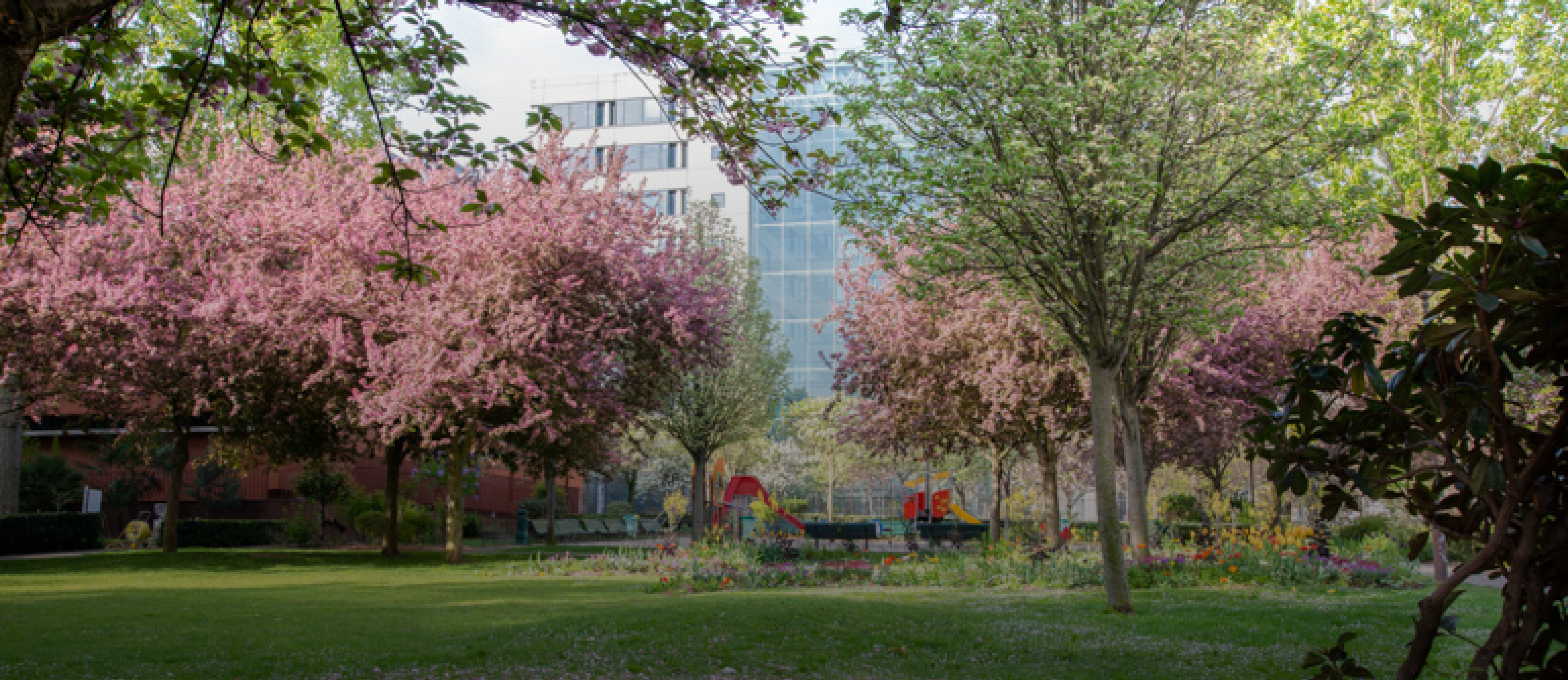 prise de vue du jardin James Joyce