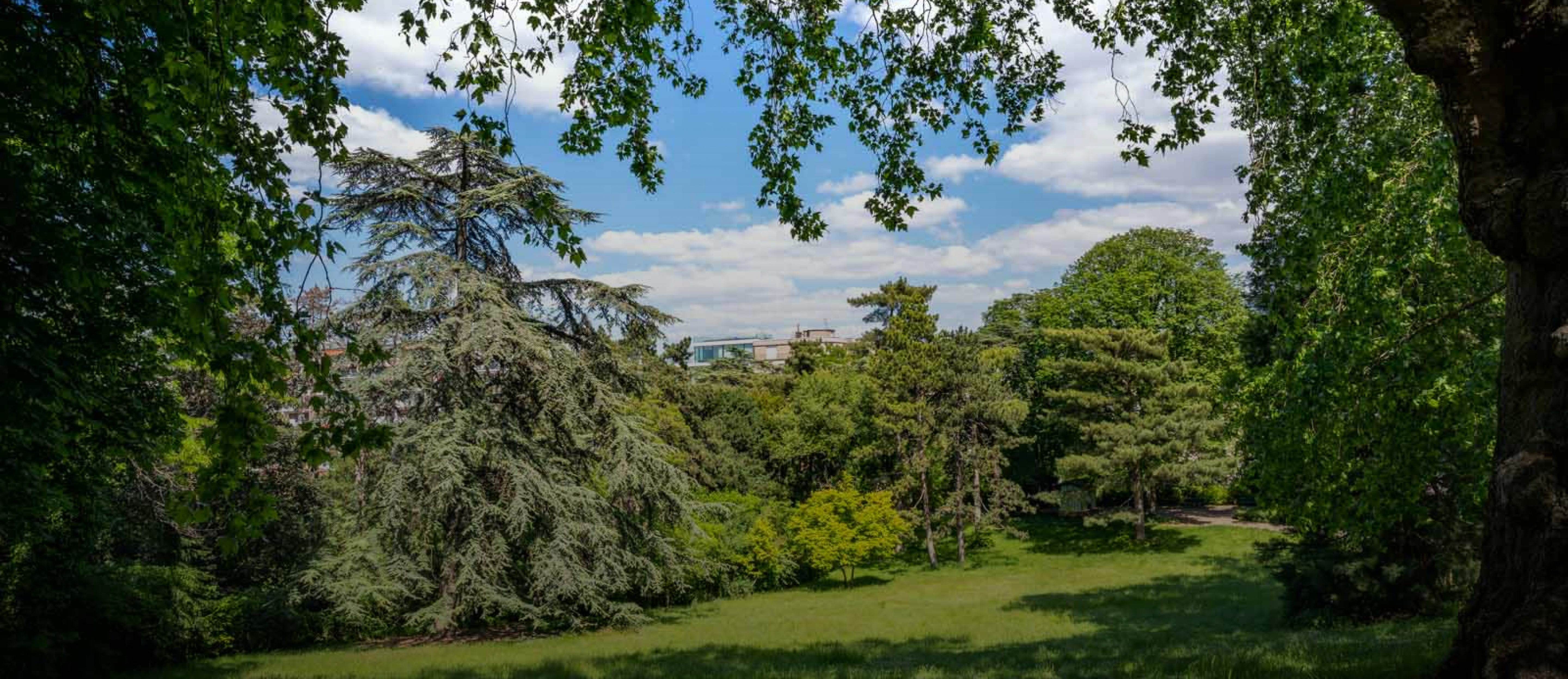 prise de vue du parc Monsouris
