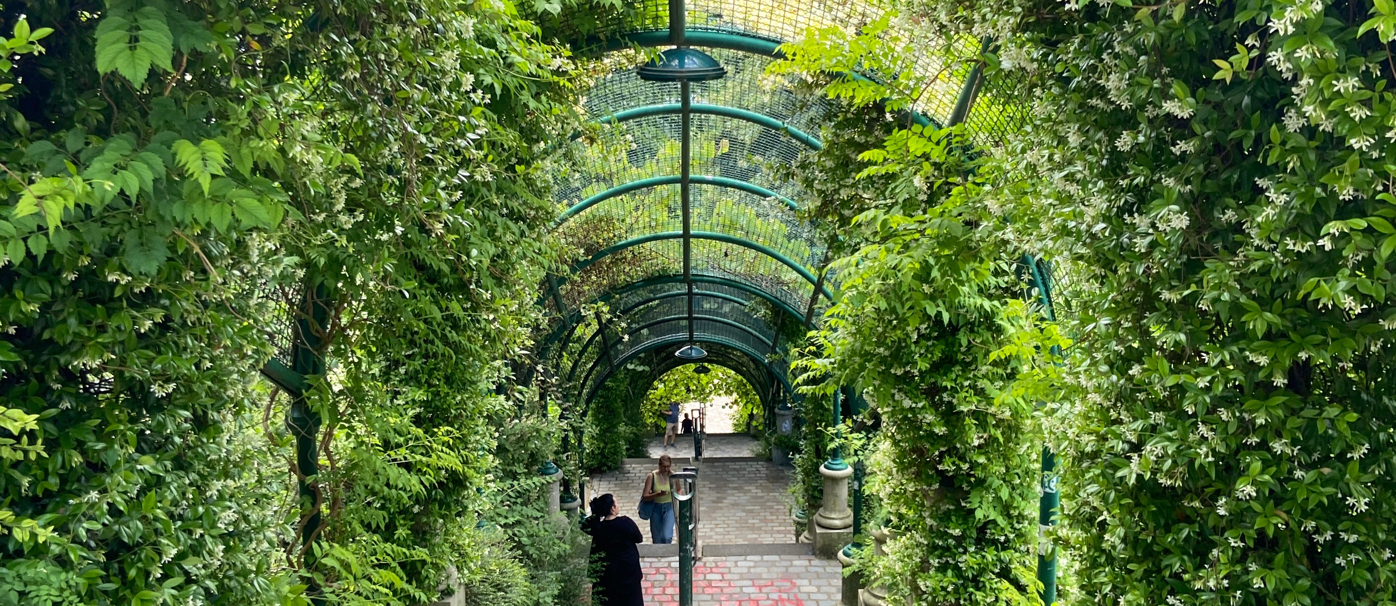 prise de vue du Parc de Belleville